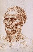 LEONARDO da Vinci Study of an old man china oil painting artist
